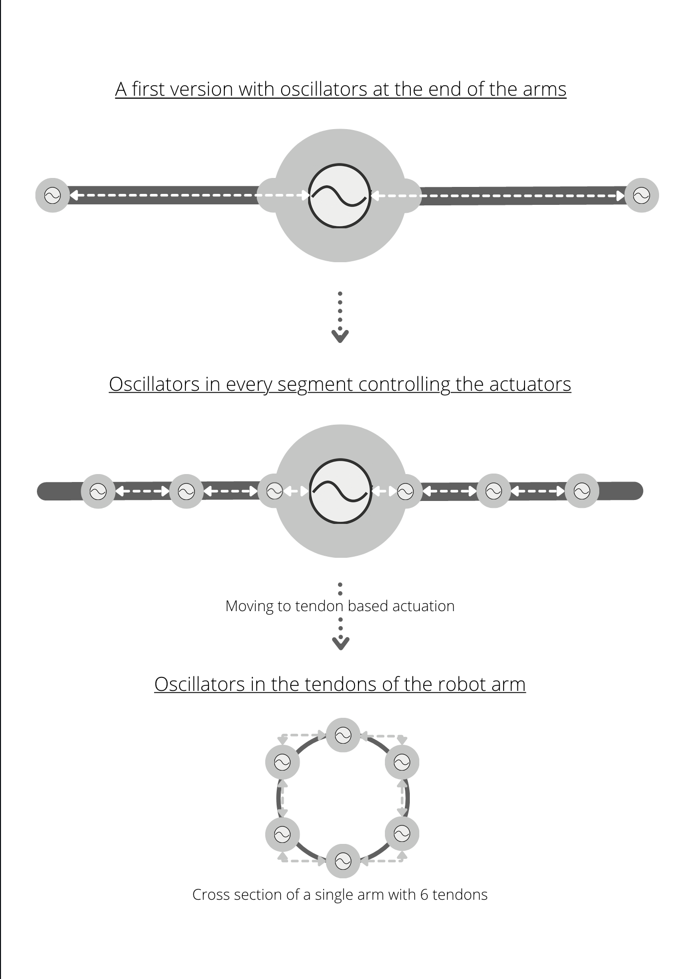 Example of a resulting robot morphology